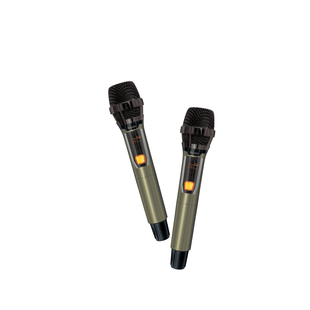 2 Wireless Mic
