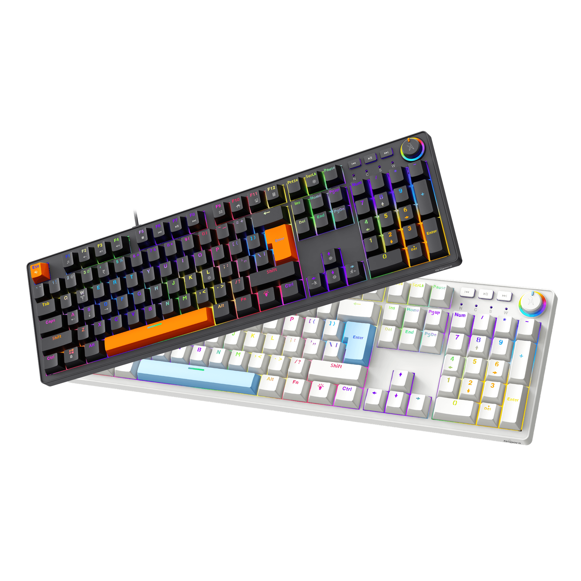 Macho-MK1 - Dual-Tone: White + Blue