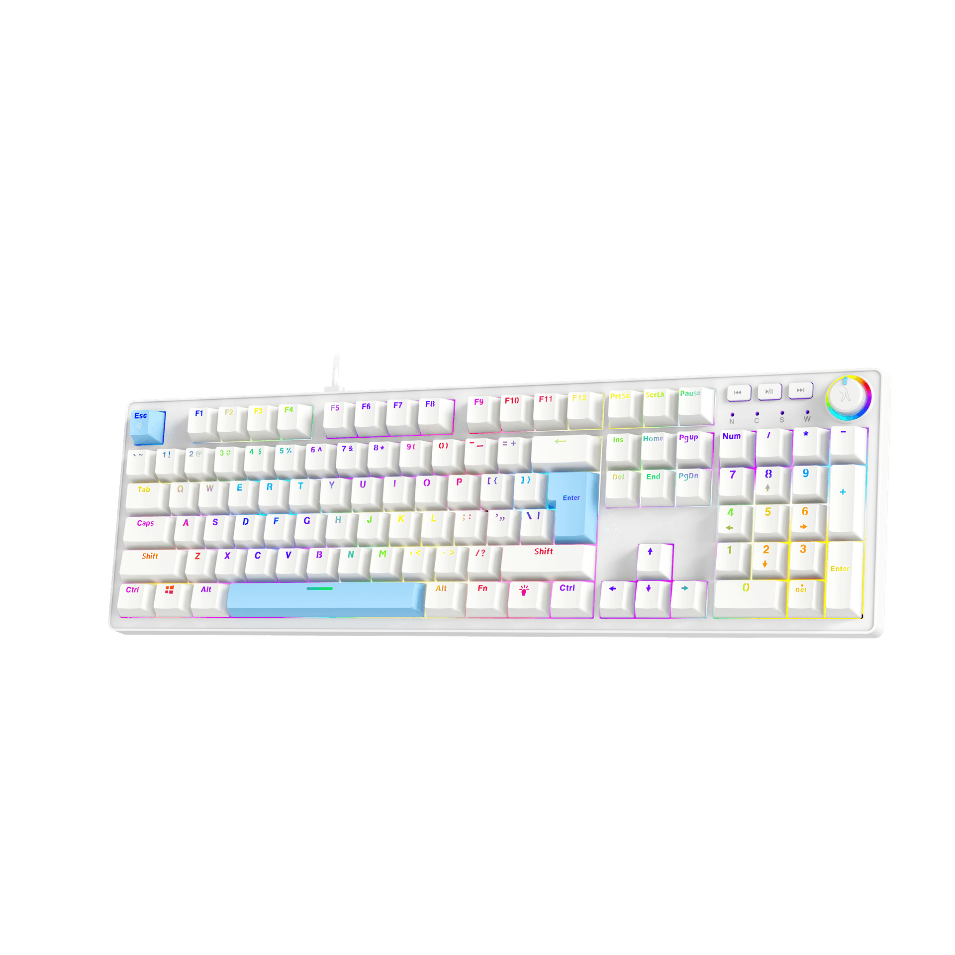 Macho-MK1 - Dual-Tone: White + Blue